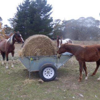 Stockade Hay Trolley