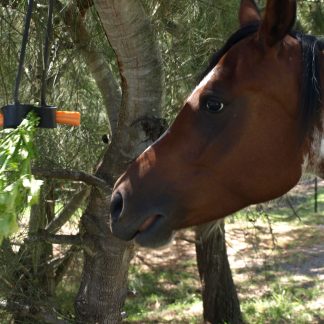 Stockade Horsie D'oeuvre